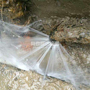老城镇自来水管道漏点检测